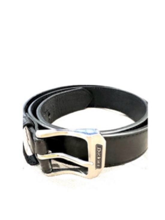 Dickies Other - Dickies Leather Belt (NWOT)